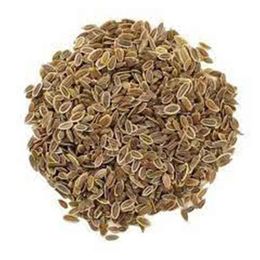 Dökme Tohumlar 250 gr Dereotu Tohumu