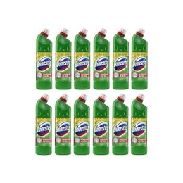 Domestos 12x806 gr Dağ Esintisi Çamaşır Suyu