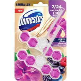 Domestos 2x50 gr Hibiskus&Kırmızı Meyve Wc Blok