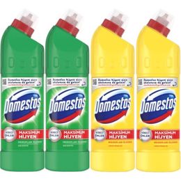 Domestos 2x750 ml Dağ Esintisi + Limon Ferahlığı 2x750 ml Çamaşır Suyu