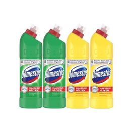 Domestos 2x750 ml Dağ Esintisi + Limon Ferahlığı 2x750 ml Çamaşır Suyu