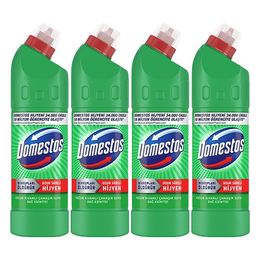 Domestos 4x750 ml Dağ Esintisi Çamaşır Suyu