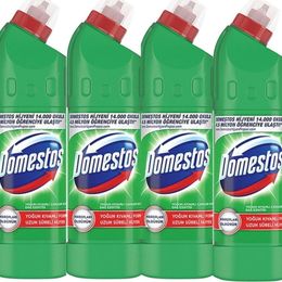Domestos 4x750 ml Dağ Esintisi Çamaşır Suyu