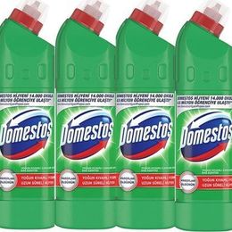 Domestos 4x750 ml Dağ Esintisi Çamaşır Suyu