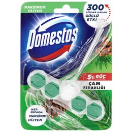 Domestos 50 gr Çam Ferahlığı Wc Blok