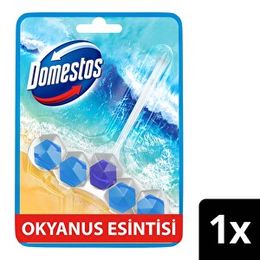 Domestos 50 gr Okyanus Esintisi Tuvalet Bloğu