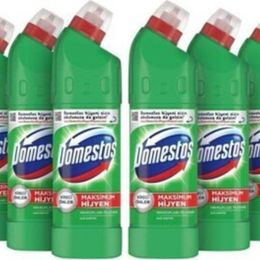 Domestos 6x750 ml Dağ Esintisi Çamaşır Suyu