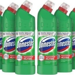 Domestos 6x750 ml Dağ Esintisi Çamaşır Suyu