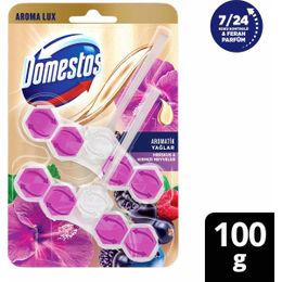Domestos Aroma Lux Hibiskus & Kırmızı Meyveler 100 gr Tuvalet Bloğu