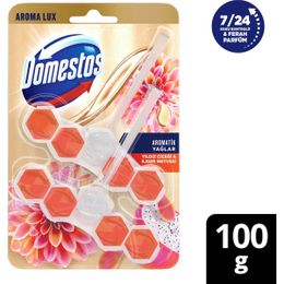 Domestos Aroma Lux Yıldız Çiçeği & Ejder Meyvesi 100 gr Tuvalet Bloğu