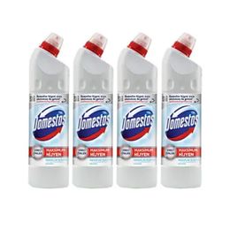 Domestos Kar Beyazı 4x750 ml Çoklu Paket Çamaşır Suyu
