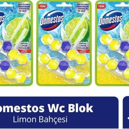 Domestos Limon Bahçesi 3x100 gr Tuvalet Bloğu