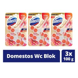 Domestos Yıldız Çiçeği Ejder Meyvesi 3x100 gr Tuvalet Bloğu