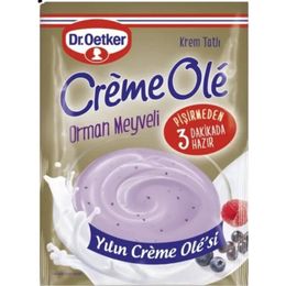 Dr. Oetker 110 gr Orman Meyveli Creme Ole
