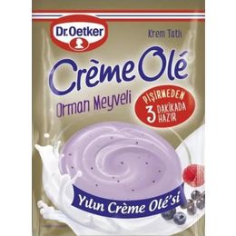Dr. Oetker 110 gr Orman Meyveli Creme Ole