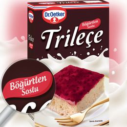 Dr. Oetker Böğürtlen Soslu Trileçe