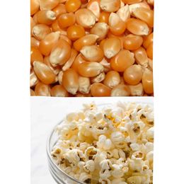 E-aktariye 500 gr Patlatmalık Mısır