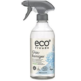 Eco Freude 500 ml Cam Yüzey Temizleyici
