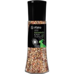 Efsina 230 gr Sofrada Öğütme Baharatlı Kaya Tuzu