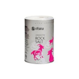 Efsina İnce  İyotlu 600 gr Kaya Tuzu