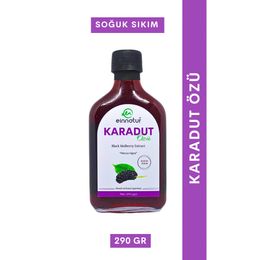 Einnatur 290 gr Karadut Özü