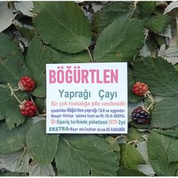 Ekstra 20 gr Böğürtlen Yaprağı Çayı