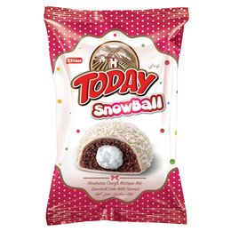 Elvan 40 gr Today Snowball Hindistan Cevizli Kek