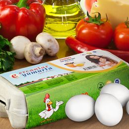 Ercanlar 20'li Xl 73 gr Yumurta