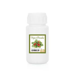Esved 100 ml Yedek Dolum Şişesi Tropik Cennet Bambu Çubuklu Oda Kokusu