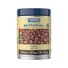 Fabbri Delipaste Kahve 1.35 kg Sos