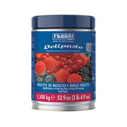 Fabbri Delipaste Yabani Meyveler 1.5 kg Sos