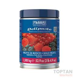 Fabbri Delipaste Yabani Meyveler 1.5 kg Sos
