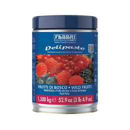 Fabbri Delipaste Yabani Meyveler 1.5 kg Sos