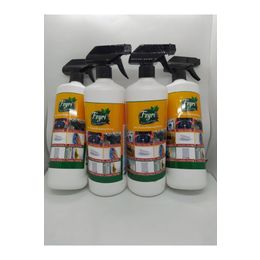 Feyri 4x1 lt Çok Amaçlı Leke Çıkarıcı