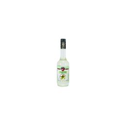 Fo 700 ml Bahçe Nanesi Aromalı Kokteyl Şurup
