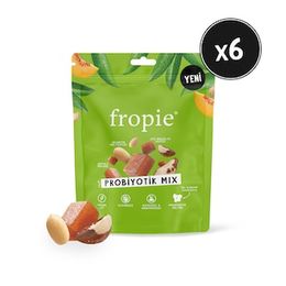 Fropie 6x75 gr Probiyotik Mix Karışık Kuruyemiş