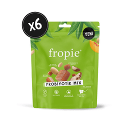 Fropie 6x75 gr Probiyotik Mix Karışık Kuruyemiş