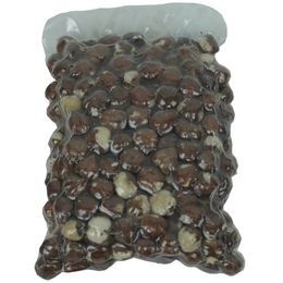 Gaffaro 250 gr Naturel Fındık
