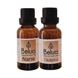 Gardone 2x30 ml Nane + Okaliptüs Oda Kokusu