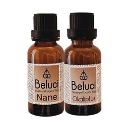 Gardone 2x30 ml Nane + Okaliptüs Oda Kokusu
