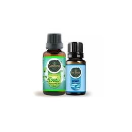Gardone 30 ml Fresh Uçucu Buhurdanlık Koku Yağı + 10 ml Okyanus Yağı