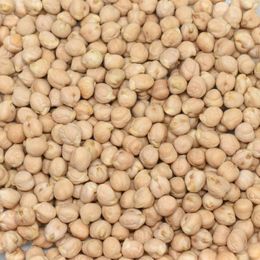 Gaziantep Pazarı 1 kg 8 MM Nohut