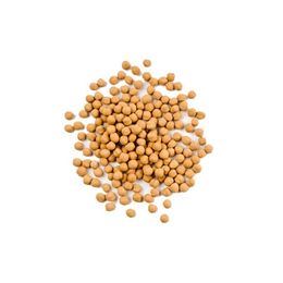 Gaziantep Pazarı 1 kg Çıtır Leblebi