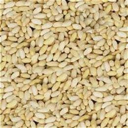 Gaziantep Pazarı 1 kg Dolmalık Yer Fıstığı