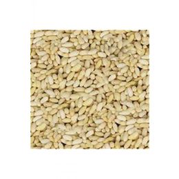 Gaziantep Pazarı 1 kg Dolmalık Yer Fıstığı