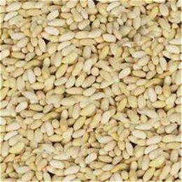 Gaziantep Pazarı 1 kg Dolmalık Yer Fıstığı