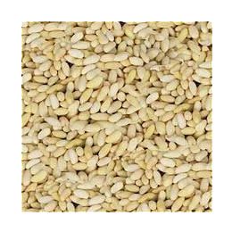 Gaziantep Pazarı 1 kg Dolmalık Yer Fıstığı