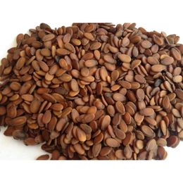 Gaziantep Pazarı 1 kg Karpuz Çekirdeği