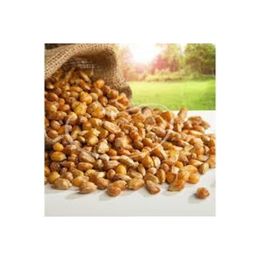 Gaziantep Pazarı 1 kg Mısır Kavurgası
