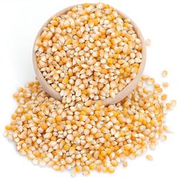 Gaziantep Pazarı 1 kg Patlayan Mısır